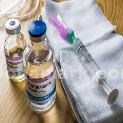 Nembutal (pentobarbital) in Stellenbosch+27 81 850 2816