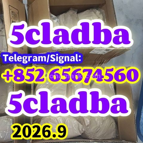 5cladba، jwh018، adbb، 5f، المواد الخام، تلغرام/سجّال: +852 65674