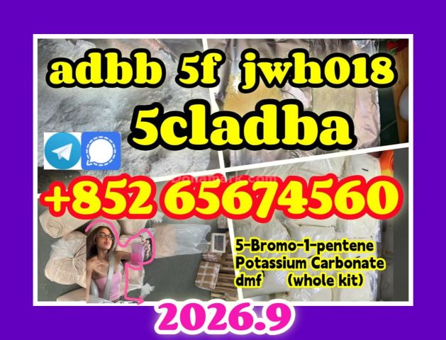 5cladba، jwh018، adbb، 5f، المواد الخام، تلغرام/سجّيل: +852 65674