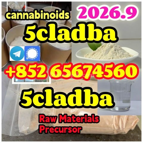 5cladba، jwh018، adbb، 5f، المواد الخام، تلغرام/سجّيل: +852 65674