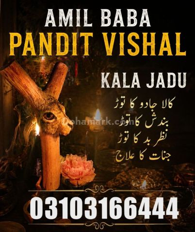 عامل بابا پنڈت وشال | سحر و جادو کے ماہر | علمِ نجوم اور روحانی ر