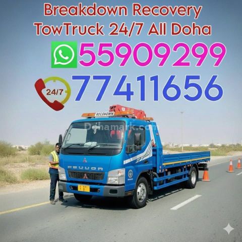 برکدون