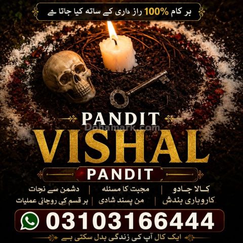 عامل بابا پنڈت وشال | سحر و جادو کے ماہر | علمِ نجوم اور روحانی ر