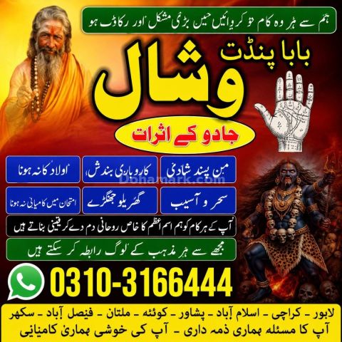عامل بابا پنڈت وشال | سحر و جادو کے ماہر | علمِ نجوم اور روحانی ر
