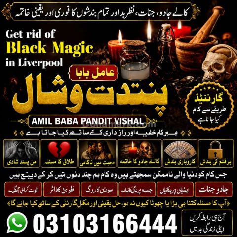 عامل بابا پنڈت وشال | سحر و جادو کے ماہر | علمِ نجوم اور روحانی ر