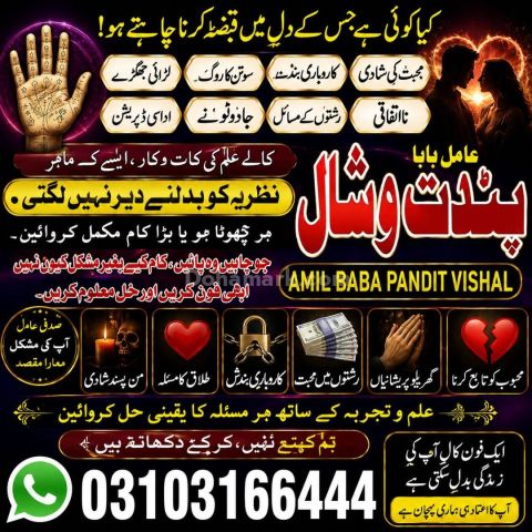 عامل بابا پنڈت وشال | سحر و جادو کے ماہر | علمِ نجوم اور روحانی ر