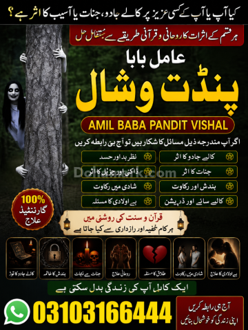 عامل بابا پنڈت وشال | سحر و جادو کے ماہر | علمِ نجوم اور روحانی ر
