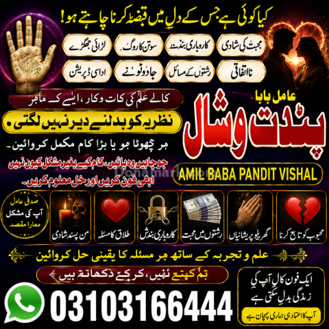 عامل بابا پنڈت وشال | سحر و جادو کے ماہر | علمِ نجوم اور روحانی ر