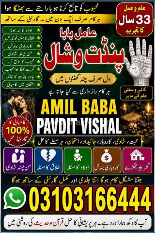 Amil Baba kala jadu IN UAE USA 03103166444