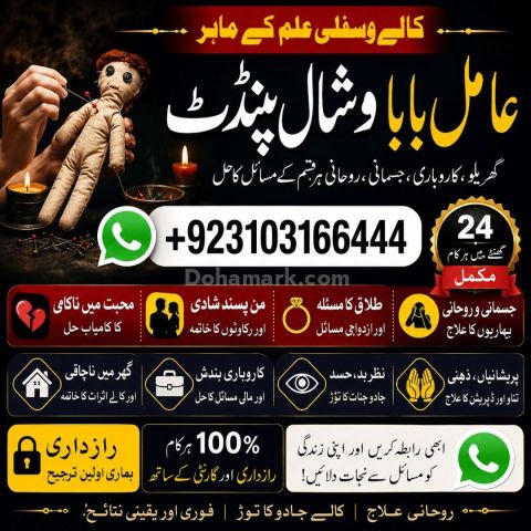 عامل بابا پنڈت وشال | سحر و جادو کے ماہر | علمِ نجوم اور روحانی ر