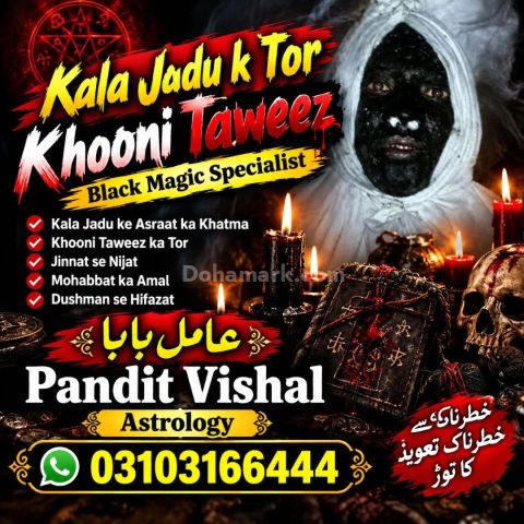 عامل بابا پنڈت وشال | سحر و جادو کے ماہر | علمِ نجوم اور روحانی ر