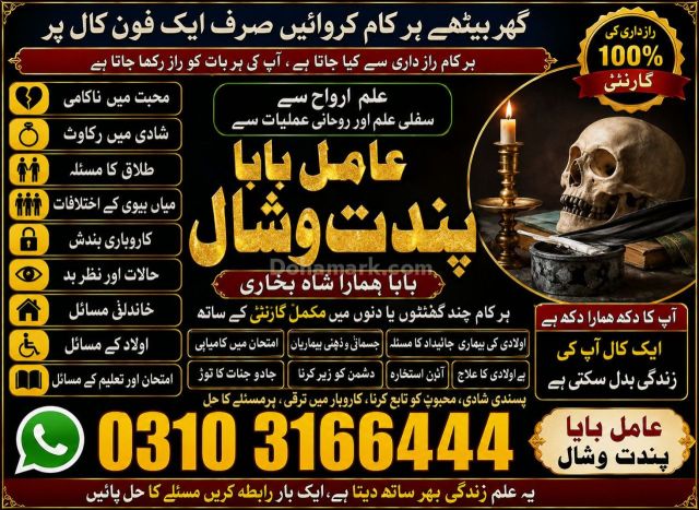 عامل بابا پنڈت وشال | سحر و جادو کے ماہر | علمِ نجوم اور روحانی ر