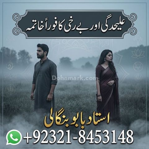 أميل بابا في تورنتو | السحر الأسود | فاشيكاران | العلاج الروحاني