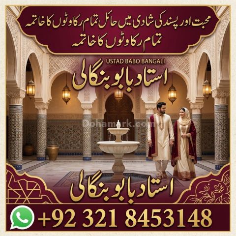 Amil Baba USA | Vashikaran Specialist | Spiritual Guidance | Roha