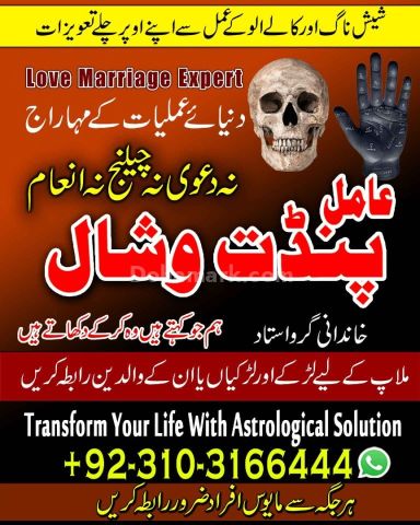 عامل بابا پنڈت وشال | سحر و جادو کے ماہر | علمِ نجوم اور روحانی ر
