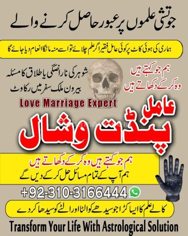 عامل بابا پنڈت وشال | سحر و جادو کے ماہر | علمِ نجوم اور روحانی ر