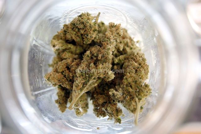 Medical Weed WhatsApp:+27656324620 Fast Pills
