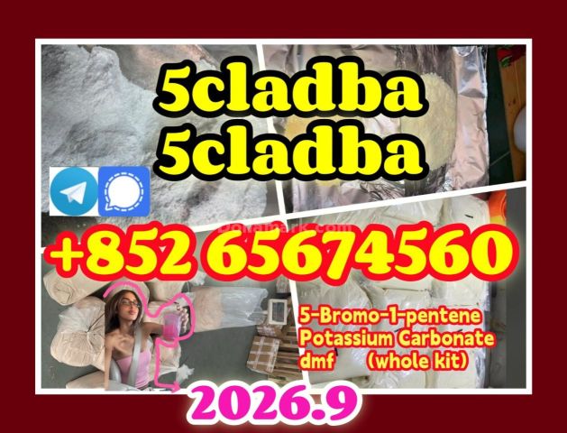 CAS 1119-51-3 5-برومو-1-بنتن مُسبَّب المواد الخام، 5Cladba 5Cladb