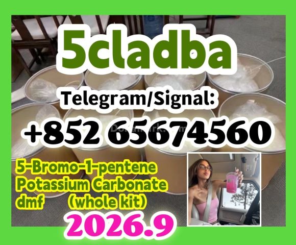 5cladba كاس: 2709672-58-0، مسحوق رئيسي، مسحوق أصفر، خام تيلغرام: