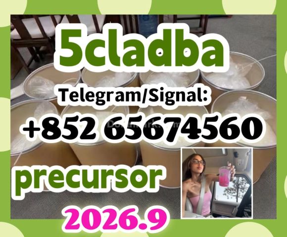 5cladba adbb jwh-018 5f-adb مادة أولية   مسحوق رئيسي، مسحوق أصفر،