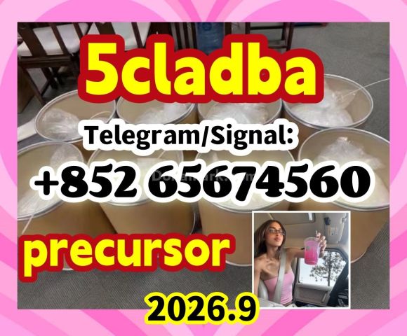 5cladba adbb jwh-018 5f-adb مادة أولية   مسحوق رئيسي، مسحوق أصفر،