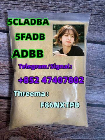 5cladba 5cl yellow powder 5cladba from best supplier