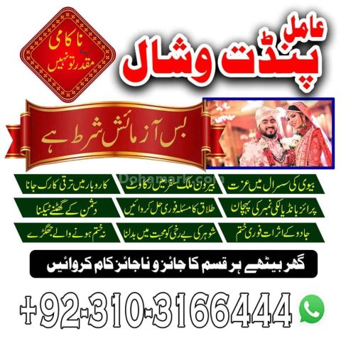 عامل بابا پنڈت وشال | خبير السحر الأسود | علم التنجيم والإرشاد ال