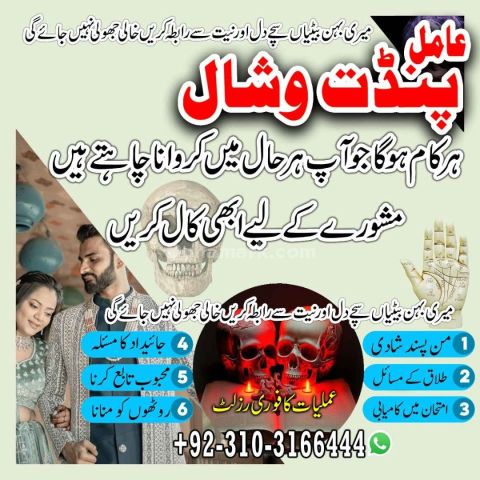 عامل بابا پنڈت وشال | خبير السحر الأسود | علم التنجيم والإرشاد ال