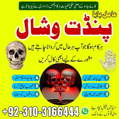 Your Ex Love Back / Love Problem Solution 03103166444 • Kala jadu