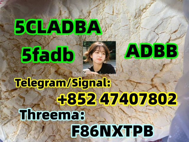 CAS 137350-66-4 5cladba powder/5cl-adb-a/5cladb