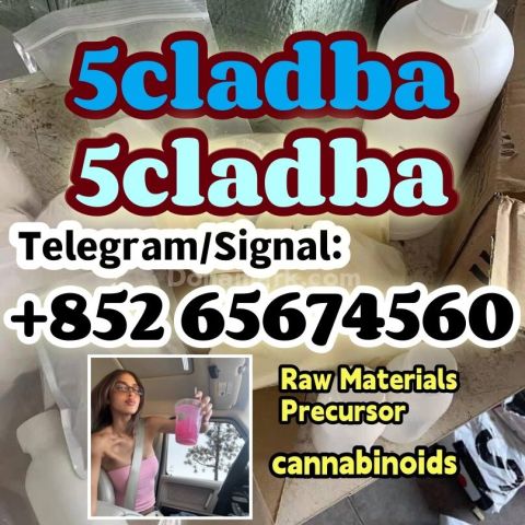 5cladba adbb jwh-018 5f-adb مادة أولية   مسحوق رئيسي، مسحوق أصفر،