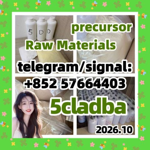 5CL-ADBA: Sourcing & China's (باللغة الإنجليزية)