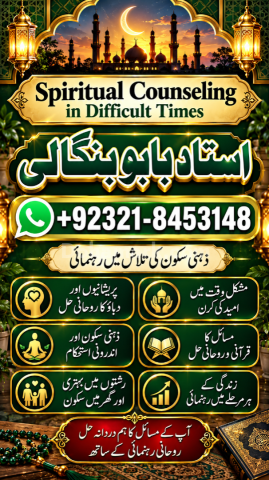 Amil Baba in Detroit | Amil Baba USA Consultation | Online Rohani