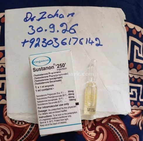 Sustanon 250 organon