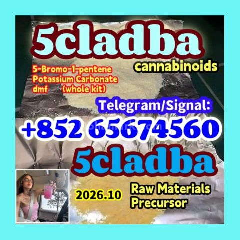 5cladba adbb jwh-018 5f-adb مادة أولية   مسحوق رئيسي، مسحوق أصفر،