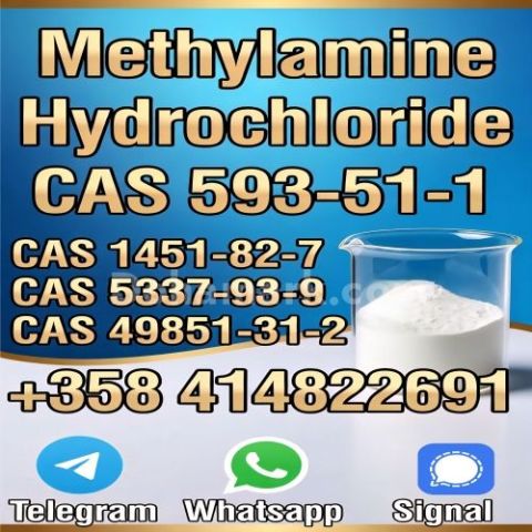 Experienced Supplier CAS 593-51-1 High Quality Best Price Fast De