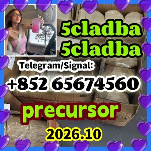 5cladba adbb jwh-018 5f-adb مادة أولية   مسحوق رئيسي، مسحوق أصفر،