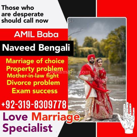 No,1 Astrologer | Amil Baba Naveed Bengali  Freely Get Solution