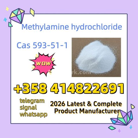 Experienced Supplier CAS 593-51-1 High Quality Best Price Fast De