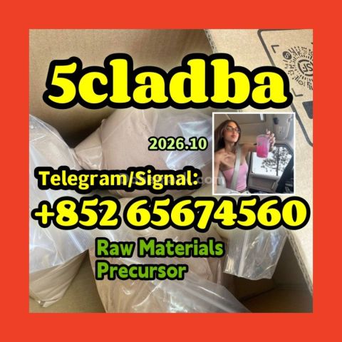 5cladba adbb jwh-018 5f-adb مادة أولية   مسحوق رئيسي، مسحوق أصفر،