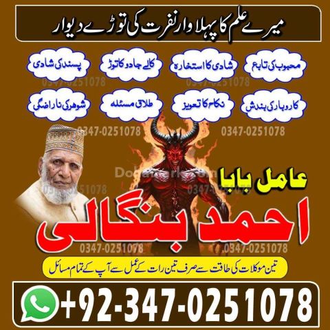 Classified amil baba America Certified amil baba Germany Hindu am